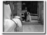 fotografi matrimoni a roma